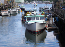 portland, me compatible uses